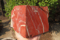 Natural Red Jasper Specimen x 1 From Northern Cape, South Africa