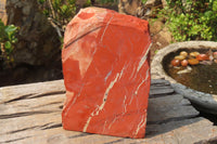 Natural Red Jasper Specimen x 1 From Northern Cape, South Africa