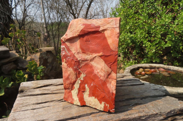 Natural Red Jasper Specimen x 1 From Northern Cape, South Africa