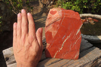 Natural Red Jasper Specimen x 1 From Northern Cape, South Africa