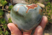 Polished Polychrome Jasper Hearts x 6 From Madagascar