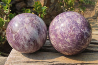 Polished Lepidolite with Pink Rubellite Spheres x 2 From Ambatondrazaka, Madagascar