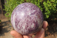 Polished Lepidolite with Pink Rubellite Spheres x 2 From Ambatondrazaka, Madagascar