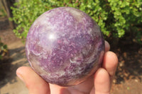 Polished Lepidolite with Pink Rubellite Spheres x 2 From Ambatondrazaka, Madagascar