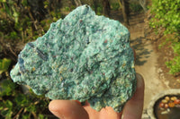 Natural Kyanite In Fuchsite Matrix Specimens x 12 From Zimbabwe