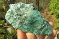 Natural Kyanite In Fuchsite Matrix Specimens x 12 From Zimbabwe