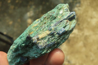 Natural Kyanite In Fuchsite Matrix Specimens x 12 From Zimbabwe