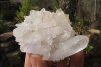 Natural Clear Quartz Crystal Clusters x 12 From Madagascar