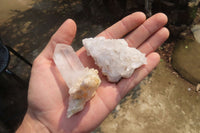 Natural Clear Quartz Crystal Clusters x 12 From Madagascar