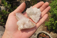 Natural Clear Quartz Crystal Clusters x 12 From Madagascar