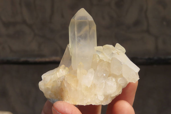 Natural Clear Quartz Crystal Clusters x 12 From Madagascar