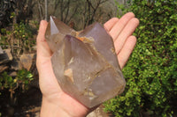 Polished Smokey Amethyst Window Quartz Crystals x 2 From Madagascar