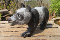 Polished Wonder Stone Panda Carvings x 2 From Zimbabwe