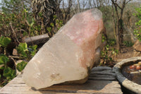 Natural Inclusion Quartz Crystal Specimen x 1 From Northern Cape, South Africa