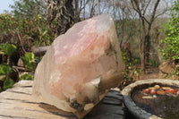 Natural Inclusion Quartz Crystal Specimen x 1 From Northern Cape, South Africa