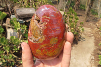 Polished Red Jasper Standing Free Forms x 3 From Madagascar