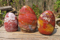 Polished Red Jasper Standing Free Forms x 3 From Madagascar