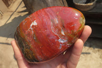 Polished Red Jasper Standing Free Forms x 3 From Madagascar