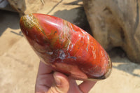 Polished Red Jasper Standing Free Forms x 3 From Madagascar