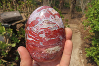 Polished Red Jasper Standing Free Forms x 3 From Madagascar