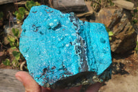 Natural Silica Chrysocolla Specimens x 2 From Kulukuluku, Congo