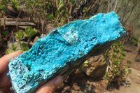 Natural Silica Chrysocolla Specimens x 2 From Kulukuluku, Congo