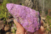 Natural Metallic Purpurite Cobbed Specimens x 12 From Erongo, Namibia