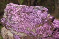 Natural Metallic Purpurite Cobbed Specimens x 12 From Erongo, Namibia