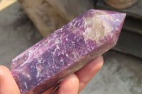 Polished Lepidolite with Pink Rubellite Points x 6 From Ambatondrazaka, Madagascar