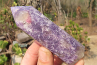 Polished Lepidolite with Pink Rubellite Points x 6 From Ambatondrazaka, Madagascar