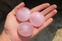 Polished Rose Quartz Palm Stones x 12 From Madagascar