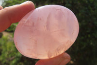 Polished Rose Quartz Palm Stones x 12 From Madagascar