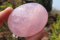 Polished Rose Quartz Palm Stones x 12 From Madagascar