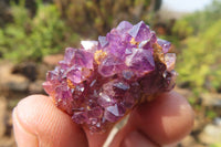 Natural Amethystos Amethyst Specimens x 60 From Kwaggafontein, South Africa