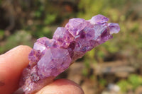 Natural Amethystos Amethyst Specimens x 60 From Kwaggafontein, South Africa