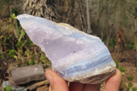 Natural Blue Lace Agate Geode Specimens x 6 From Nsanje, Malawi