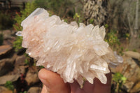 Natural Clear Quartz Crystal Clusters x 12 From Madagascar