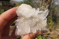 Natural Clear Quartz Crystal Clusters x 12 From Madagascar