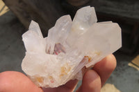 Natural Clear Quartz Crystal Clusters x 12 From Madagascar