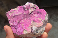 Natural Salrose Cobaltion Dolomite Specimens x 7 From Kakanda, Congo