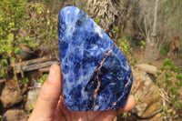 Polished Sodalite Standing Free Forms x 4 From Kunene River, Namibia