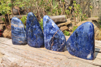 Polished Sodalite Standing Free Forms x 4 From Kunene River, Namibia