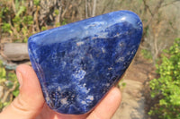 Polished Sodalite Standing Free Forms x 4 From Kunene River, Namibia