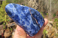 Polished Sodalite Standing Free Forms x 4 From Kunene River, Namibia