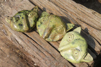 Polished Leopard Stone Cat Face Carvings x 3 From Zimbabwe