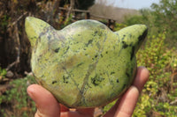 Polished Leopard Stone Cat Face Carvings x 3 From Zimbabwe