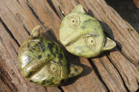 Polished Leopard Stone Cat Face Carvings x 3 From Zimbabwe