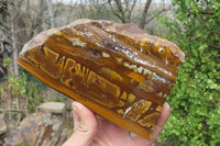 Polished On One Side Nguni Jasper Specimens x 2 From Prieska, South Africa