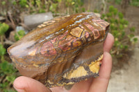 Polished On One Side Nguni Jasper Specimens x 2 From Prieska, South Africa