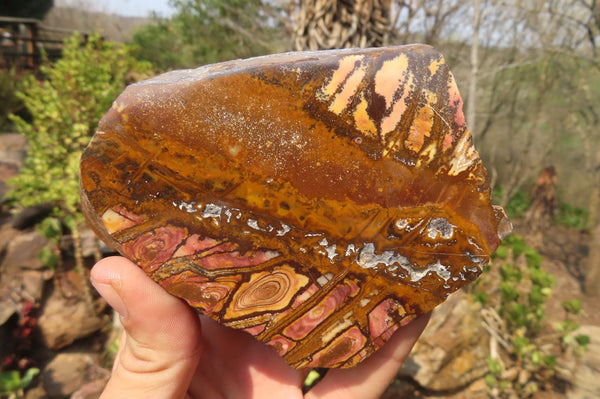 Polished On One Side Nguni Jasper Specimens x 2 From Prieska, South Africa